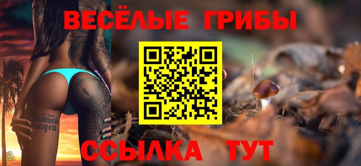 где продают   Вход с VPN  Галлюциногенные грибы прущие грибы  Курчалой  Псилоцибиновые грибы Cubensis 